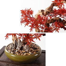 Small Bonsai Tree Simulation Plant Art Bonsai Modern New Chinese Style Zen Simulation Red Bonsai Living Room Porch Cabinet Ornaments Fake Bonsai Fake Plants