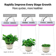 5sssallefaa Full Spectrum LED Grow Light 1200W Growing Lamp Indoor Hydroponic Greenhouse LED Plant All Stage Growth Lighting for Flowers Vegetables Garden Plants Green Lighting