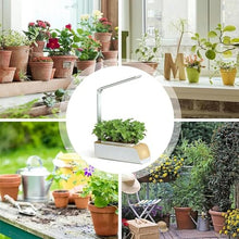 BTURYT Hydroponic Systems, Interior Plants Cultivation Lights, Without Seasonal Restrictions, Adjustable Height, Interior Gardening Kit, Suitable for Seedlings/Seeds/Succulents