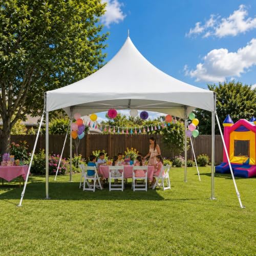 TentandTable 10' x 10' Premium High Peak Frame Party Tent, White Top