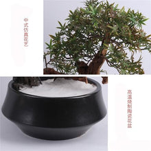 QWERAXZG Chinese Simulated Maple Tree Decorations Green Plant Overall Floral Handicraft