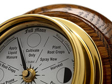 Tabic Classic Brass Moon Gardening Clock Mounted on an English Oak Wall Mount, 21.5cm x 7.5cm