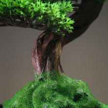YXIANG56Q Fake Plants Artificial Plants Bonzai Trees Indoor Large Artificial Bonsai Welcoming Pine Tree Simulation Potted Plant Decorative Fake Tree Bonsai Tree