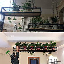 KAJIAO Industrial Wine Racks Bottle Holder Ceiling Creative Plant Railing Shelf with Solid Wood Board and Iron Frame, Hanging Flower Pot Rack Storage Stand for Bar Flower Shop Balcony(60x25x15CM)