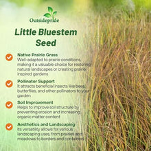 Outsidepride Perennial Little Bluestem Grass Seed - 25 lbs. Warm Season, Drought Resistant, Long-Lived Native Prairie Grass Seed, Ideal for Erosion Control, Ornamental Landscaping & Wildlife Gardens