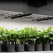 AC Infinity IONFRAME EVO6, 500W Samsung EVO Bar LED Grow Light 4x4