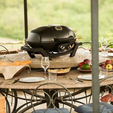 Napoleon Propane Gas Grill