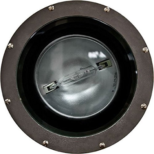 Dabmar Lighting FG4380-MT Fiberglass 70W MH/De Multi Tap, Bronze Finish