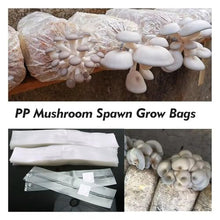 DYKWSWYX 50/100PCS Breathable PP Mushroom Grow Bags 0.2μm Pore Size High Temperature Resistant Garden Growing Container Bags(100PCS,390x650x0.06mm)