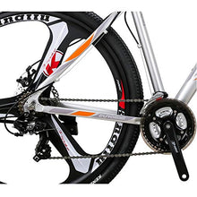 LZBIKE Aluminum Alloy Mountain Bike 21 Speed Shock Absorption Silver