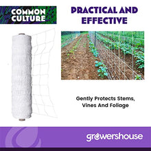 COMMON CULTURE Professional Grade Trellis Netting Bulk Roll 6.5ft x 4920ft Heavy Duty Scrog Net