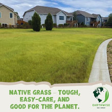 Earthwise TrueGrass Native Alternative Lawn Seed - 5 lb, 2,500 sq ft