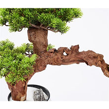 Fake Plants Artificial Bonsai Tree 21.6in Large Luohan Pine Fake Bonsai Plant Interior Decor Simulation Welcome Pine Bonsai Trees Ceramic Vase Bonsai Tree