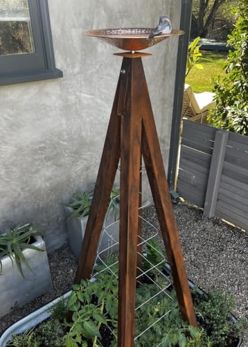 Modern Birdbath with Obelisk Trellis (Oxide, Regular)