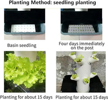 BTURYT System of Hydroponic Culture of 30 Garden Plants, Air Cultivation System for Herbs, Fruits and Vegetables with Moisturizing Pump, Adapter, Network Pots, Herbal Timer