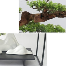 TATSEN Green Plants Bonsai Living Room Porch TV Cabinet Home Furnishing Soft Decorations (Color : A, Size : 80 * 25 * 50cm)