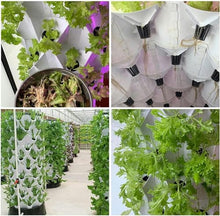 FLTRGO Hydroponics Tower, Indoor Garden Hydroponic Growing System, DIY Soilless Cultivation Garden Tower Aeroponics Growing Kit for Herbs, Fruits and Vegetables,48holes