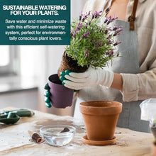 Blumat Classic Self-Watering Stakes - Prevents Overwatering and Underwatering for Healthy Growth While You are Away - Ideal for Indoor Plant Watering, 50 Pack, w Adapter