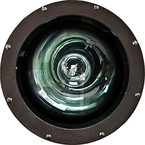 Dabmar Lighting FG4210 Fiberglass 35W Hps 120V Light Fixture, Bronze Finish
