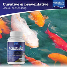 BioSafe Systems 3002-2.5 GreenClean Granular Algaecide, 2.5 lbs., (Case of 12), Algae Control for Koi Ponds, Fountains, Waterfalls, and Water Features, EPA Registered