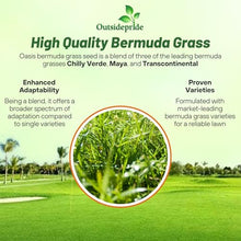 Outsidepride Oasis Bermuda Grass Seed - 50 lbs Warm Season, High Traffic, Heat Resistant, Drought-Tolerant, Low-Maintenance, Fast Growing Turf Grass for Lawn, Ideal for Sunny Areas, Thick Coverage