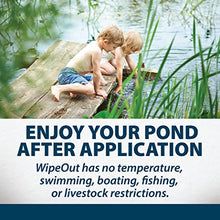 Airmax Wipeout Pond Weed Defense Herbicide 32 Ounce White