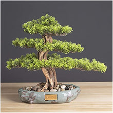 LSHAOBO Artificial Bonsai Tree Realistic Faux Bonsai Tree, Houseplant, Black Ceramic Round Pot and Pebbles Desktop Decoration Novelty Gifts(Color:B)