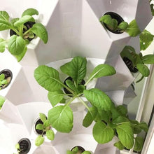 RWGOVLU Hydroponic Tower Self-Watering Growing System, 48/64/80 Plants Sites Indoor Vertical Gardening Grow Kit, Farm Greenhouse Hydroponic Grow System with Water Pump, Net Pots,8floors//1pc