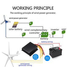 600W Wind Turbines Generator Fit for Home Park Street Light Power Plant Wind Generator with Controller 5 Blades 12v (3 Blades 24v)
