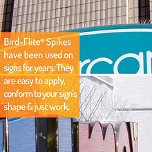 Bird Barrier Bird-Flite Stainless Steel Bird Spikes, Narrow 2.5 in, 100 Ft