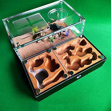 Acrylic Flat Ant Farm Large Plaster Ant Nest Big Gypsum Pet Anthill Insect Castle Workshop Villa Ant House with Feeding Area (A+ 22.3x19.7x9.5cm)