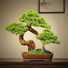 YXIANG56Q Fake Plants High-end Simulation Greenery Bonsai Ornaments Simulation Tree Entrance Living Room Liquor Cabinet Side a Few Ornaments Artificial Bonsai Bonsai Tree