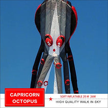 TiffyDance Super Large Octopus Kite 26m