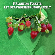 BBYYDS Multi-Port Grow Bag 5/7/10 Gallon Strawberry Tomato Reusable Non Woven Hanging for Cultivated Plants