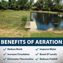 Airmax PondSeries PS40 115V Aeration System for Ponds & Lakes up to 3 Acres