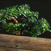 YXIANG56Q Fake Plants 24'' Large Artificial Bonsai Tree in Ceramic Pot, Potted Fake Greenery Plants Decoration for Home Office Living Room Bonsai Tree
