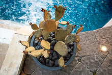Desert Steel Prickly Pear Cactus - Indoor/Outdoor Metal Yard Art & Yard Decor, All Weather - Round (20”H x 26”W x 23" D)