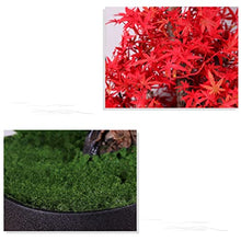 YXIANG56Q Fake Plants Creative Maple Fake Tree Simulation Bonsai Tree Green Plant Potted Fake Flower Plant Home Office Living Room Desktop Decoration Ornaments Bonsai Tree