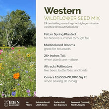 Eden Brothers Western Wildflower Mixed Seeds for Planting, 10 lb, 4,800,000+ Seeds with Cornflower, Blanket Flower | Attracts Pollinators, Plant in Spring or Fall, Zones 3, 4, 5, 6, 7, 8, 9, 10