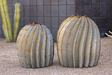Desert Steel Fishhook Barrel Cactus - Indoor/Outdoor Metal Yard Art & Yard Decor, All Weather, Large (23" H x 20" W)