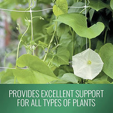 DL Wholesale VineLine Trellis Netting Garden Plant Plastic Trellis Net Roll for Climbing Plants Grow Support Fruits Vegetables, Green, 6.5 ft x 3300'