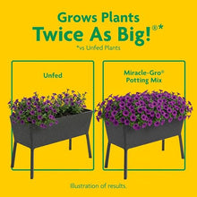 Miracle-Gro 10 Pack Potting Soil Mix for Container Plants and Flowers