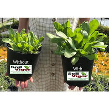 Soil Vigor Water Storing Crystal Soil Additive Commercial Grade (40, Pounds)