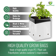 DL Wholesale Grow 1 Plant Grow Bags for Planting, Plastic Plant Bag, Nursery Pots for Flowers, Vegetables, Herbs, 20 Gallon, 200 Bags