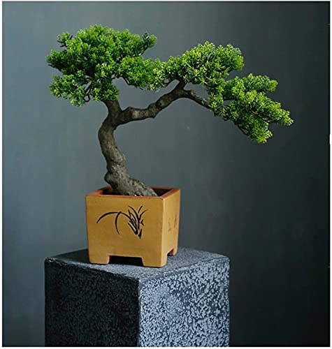 LSHAOBO Artificial Bonsai Tree Simulation Welcome to Tree Hotel Office Tea Several Live Hall Extreme Decoration (Color:C)