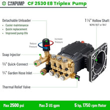 Canpump CF 2530 E8 : 2500 psi 3.0 gpm, 1-1/8 in Shaft Pressure Washer Pump