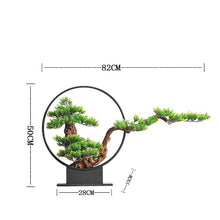 AFPSDLFJDLS Bonsai Luohan Pine Green Plant Porch Floor Sales Office Villa Model Room Decoration