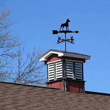 House Decor Wind Vane Weathercock Roof Weather Vane Garden Mount Yard Decoration Stainless Steel Weathervane Wind Direction Indicator Farm Retro Durable Outdoor (Fairy) (Rooster)
