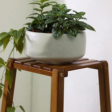TBNLASS Multilayer Plant Stand Interior Outdoor Flower Pot Holder Shelf Planter Display