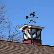 Weathervane Vintage Style Stainless Metal Weather Vane Measuring Tools Wind Vane Weathercock Wind Direction Indicator for Yard Garden Architecture Roof Ornament (Horses) (Peacocks)